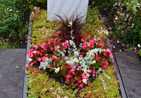 Blumen_Vogel_DSC_0753.jpg