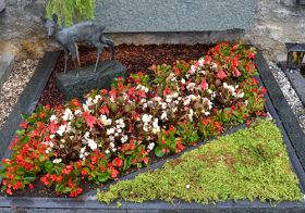 Blumen_Vogel_DSC_0421.jpg